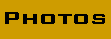 Photo Gallery